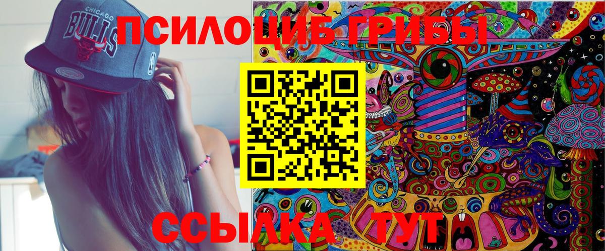 Галлюциногенные грибы Psilocybe Великие Луки